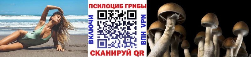 Галлюциногенные грибы Magic Shrooms продажа наркотиков Белорецк